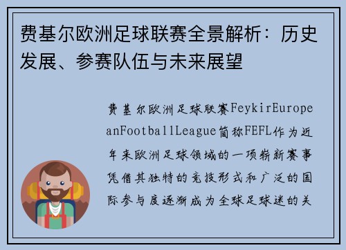 费基尔欧洲足球联赛全景解析：历史发展、参赛队伍与未来展望